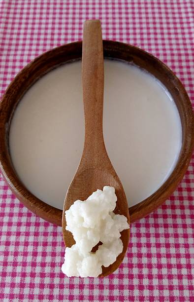 istock Probiotic milk kefir grains in wooden spoon 539852552