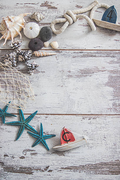 istock Shells on vintage shabby wood 539852856