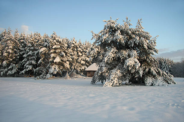istock Winter landscape with snow covered trees 539856152