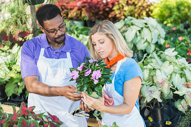 istock Two multiracial workers in plant nursery 539943830