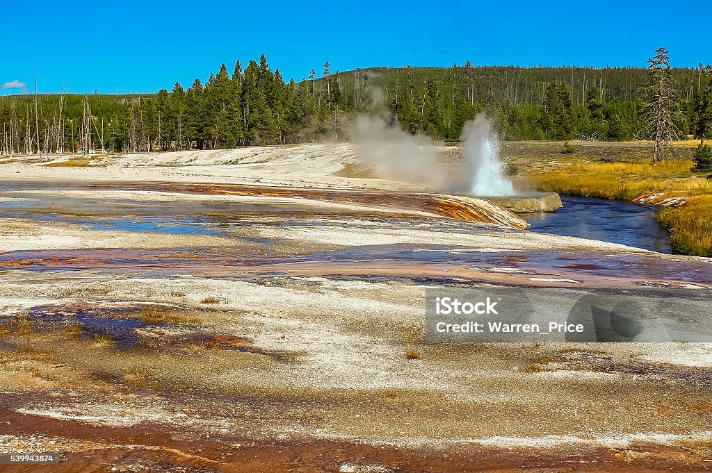Geyser Erupting in Yellowstone Brilliant colors of chemical and bacteriological elements surround small erupting geyser in Midway Geyser Basin area of Yellowstone National Park. Depression - Land Feature Stock Photo