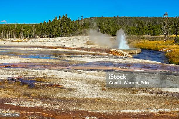 Geyser Erupting In Yellowstone Stock Photo - Download Image Now - Depression - Land Feature, Environmental Conservation, Green Color