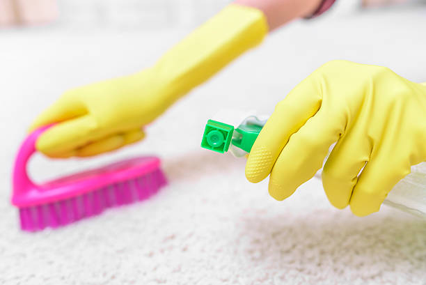istock Clean the carpet brush and spray. 539946682