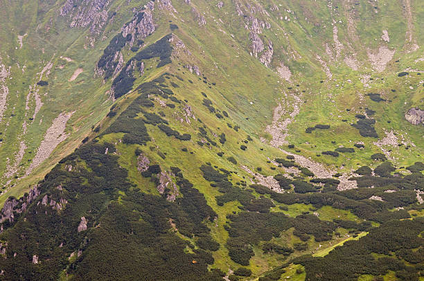istock High mountains detail from above 539947156