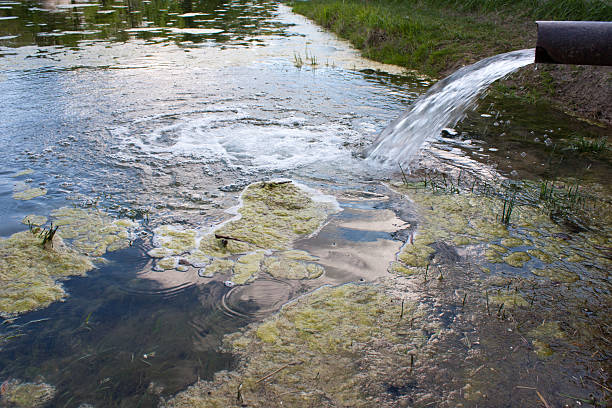 sewage from the sewer pollute a lake, river