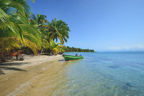 Starfish beach boats Star fish beach in Bocas Del Toro, Panama bocas-del-toro stock pictures, royalty-free photos & images