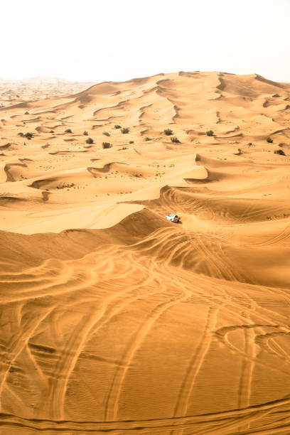 istock sahara desert landscape with cloudy sky 539953686