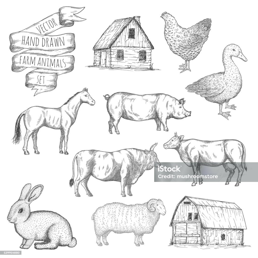 Farm animals set. Farm animals set. Hand drawn vector illustration. Drawing - Activity stock vector