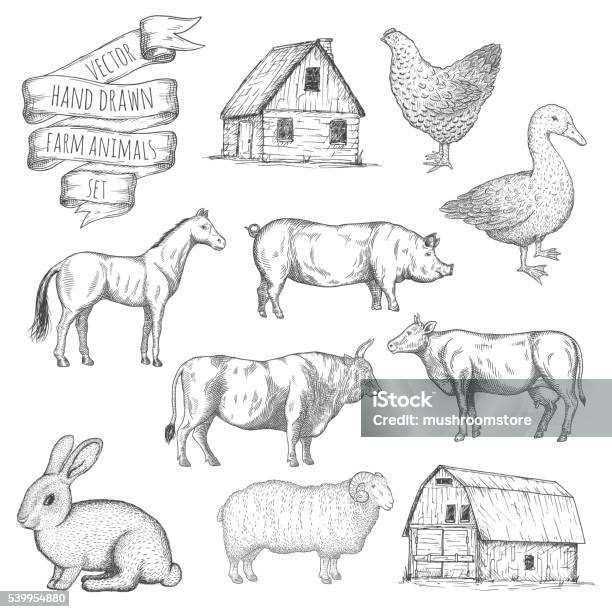 Farm Animals Set Stock Illustration - Download Image Now - Drawing - Activity, Beef, Pig