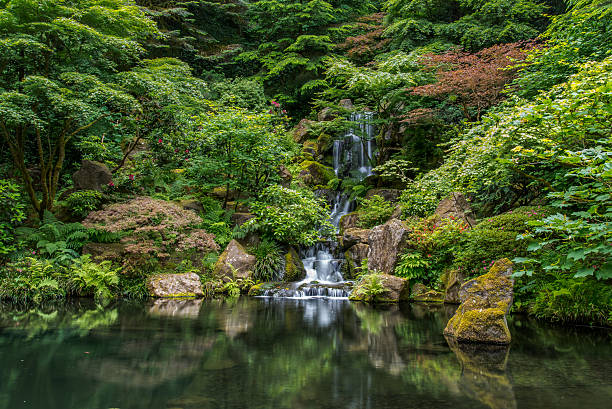 Japanese Garden With Streaming Waterfalls in Portland, Oregon Waterfall Pond in Portland Japanese Garden in Portland Oregon with Lush Growth, Trees and Bushes  portland japanese garden stock pictures, royalty-free photos & images