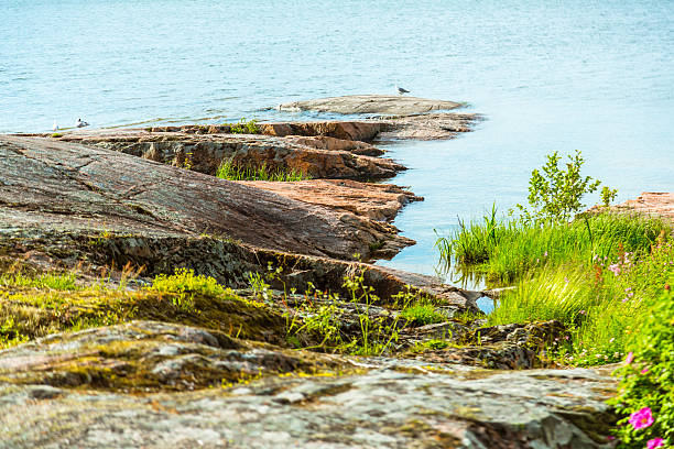 istock Coastline of a Swedish Lake 539963334