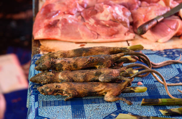 istock Roasted rats on Tomohon Traditional Market 539963384