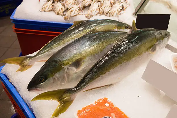 Frozen kingfish at fresh-food market