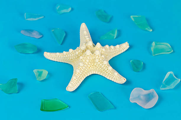 istock White, Knobby Starfish and Sea Glass on Blue Background 539967638
