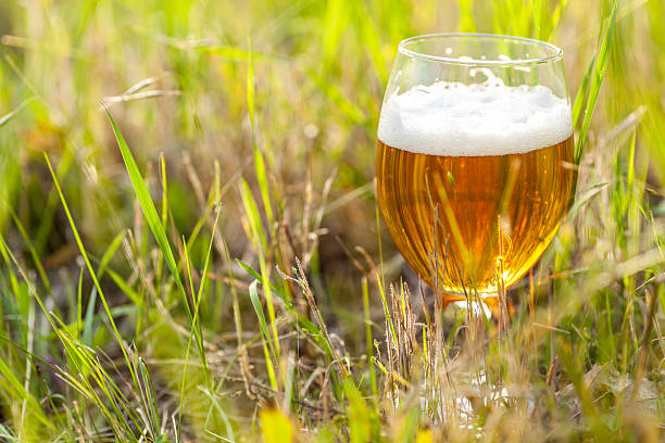 Glass of light beer standing in green grass