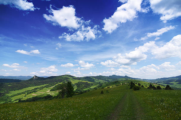 Poland Zakopane village and Tatra Mountains aerial view