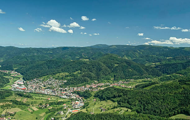istock Aerial view community in the Black Forest 539972534
