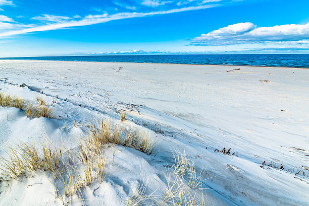 istock Beautiful beach sea landscape. Sandy beach and grass sand dune 539974348