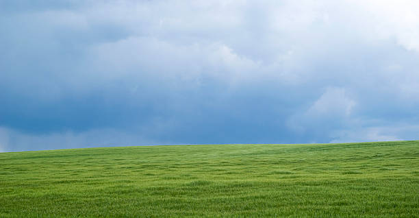 istock Rural landscape in Ukraine 539977864