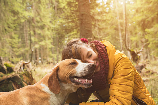 Woman with her beautiful dog in nature. stock photo