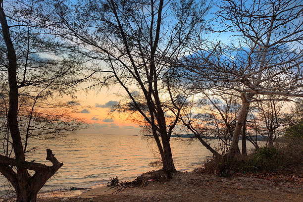 istock sunset on tropical beach Phu Quoc island 539979368