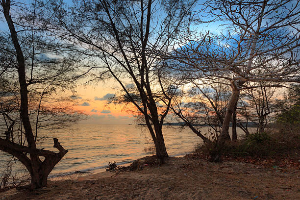 istock sunset on tropical beach Phu Quoc island 539979374