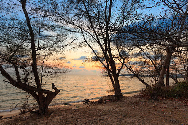 istock sunset on tropical beach Phu Quoc island 539979384