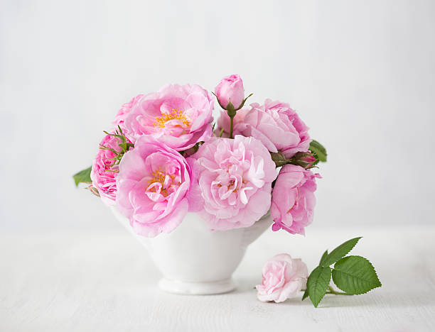 istock Pink flowers (rose) on light grey  background. 539981486