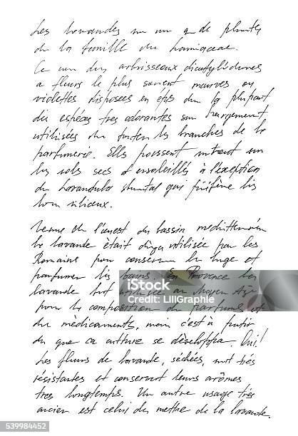 Unbestimmt Text Französisch Handgeschriebene Brief Handschrift Stockfoto und mehr Bilder von Handschrift