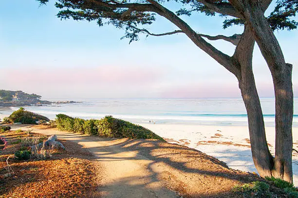 Photo of Big Sur, CA, USA