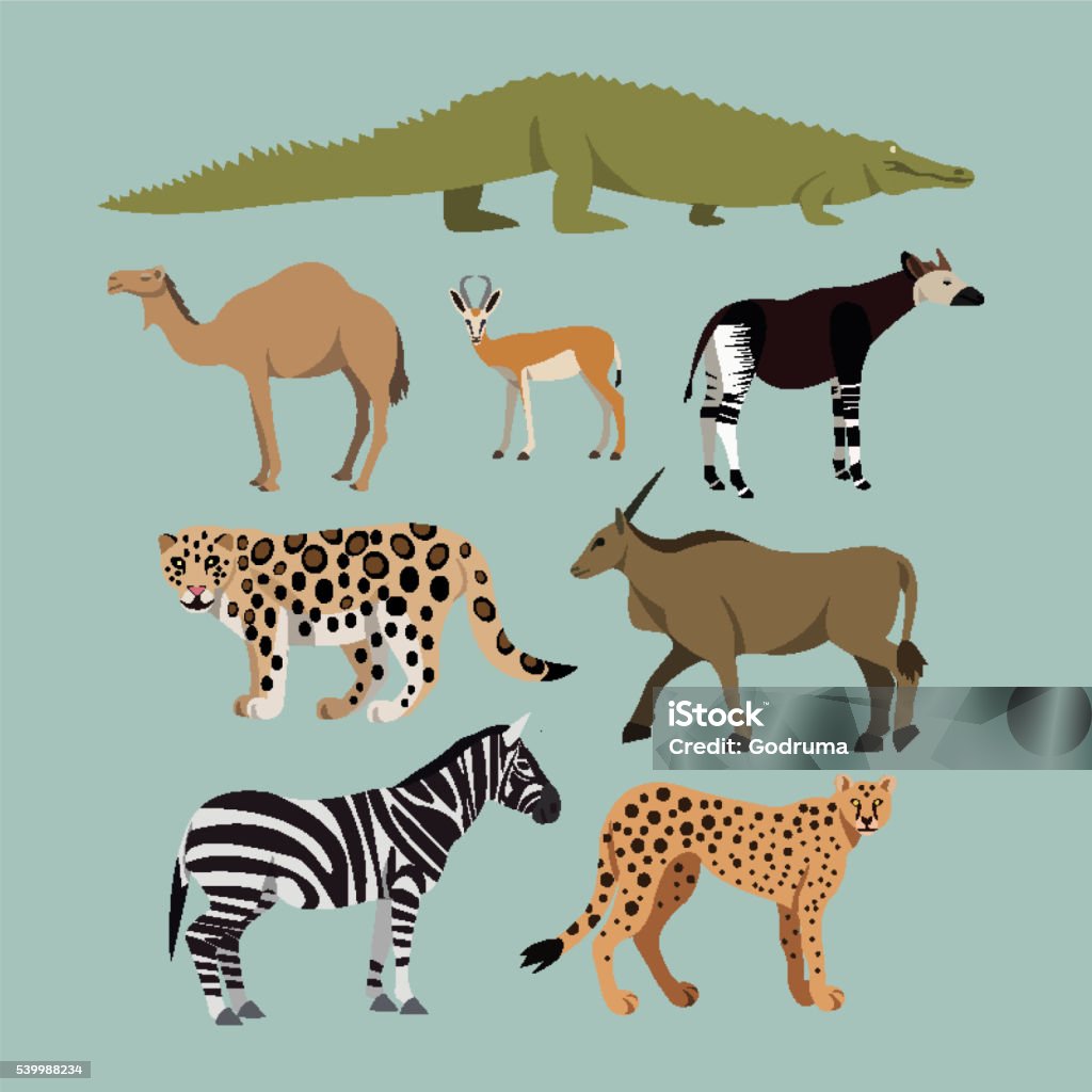 Vetores de Vetor Conjunto De Diferentes Animais Africanos e mais imagens de Okapi - Okapi, Zebra, Animal - iStock Vetores de Vetor Conjunto De Diferentes Animais Africanos e mais imagens de Okapi - Okapi, Zebra, Animal - iStock