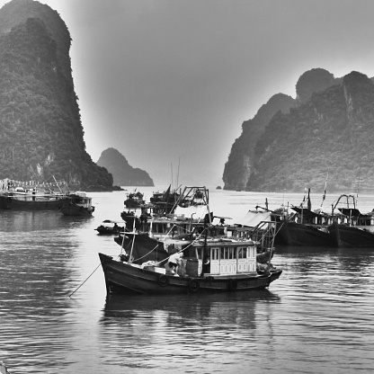 Fishing activity in Halong Bay