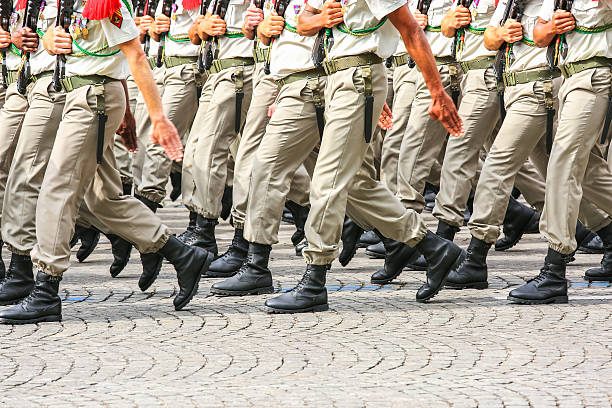 istock Military parade during the ceremonial 540089368