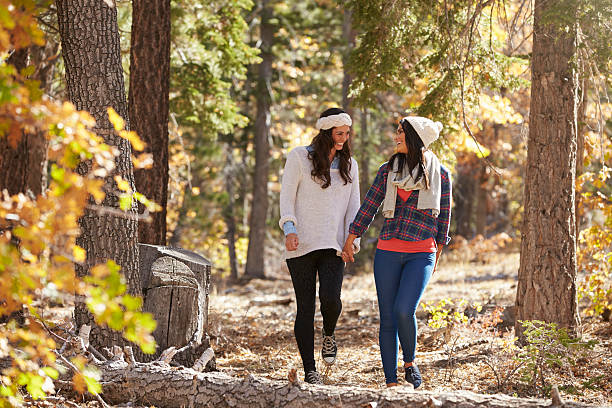 istock Lesbian couple walk holding hands in a forest 540090254