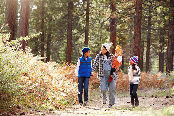 istock Asian mother with three children walking in a forest 540090388