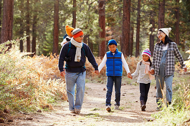 istock Parents and three children walking in a forest, front view 540090402