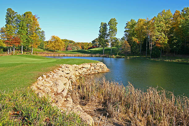 istock Landscape of small lake 540090498