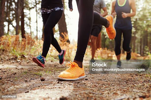 Legs And Shoes Of Four Young Adults Running In Forest Stock Photo - Download Image Now
