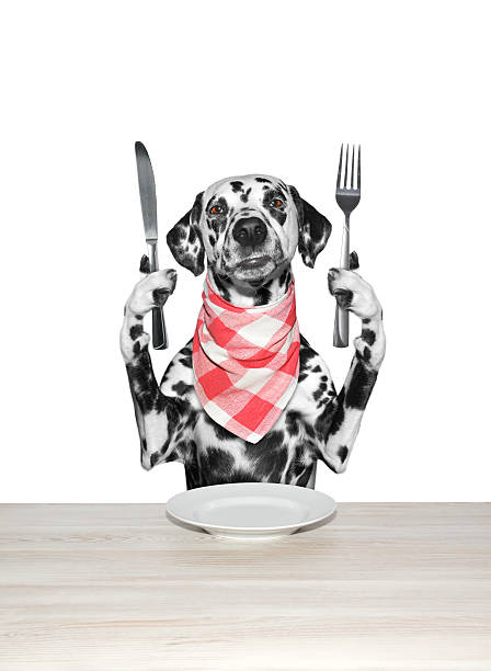 istock dog finished to eat and hold knife and fork 540090862