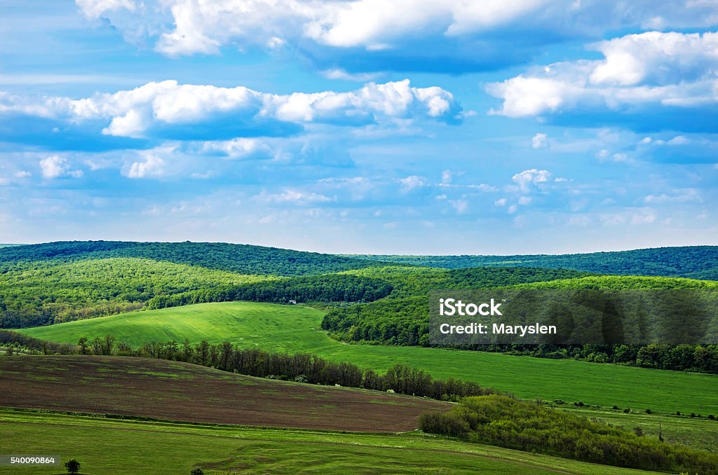 Spring freedom Beautiful landscape in Moldova. Spring nature. Blue sky, green fields and forest. Agricultural Field Stock Photo