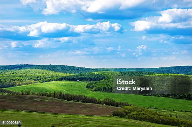 Spring Freedom Stock Photo - Download Image Now - Agricultural Field, Blue, Cloud - Sky