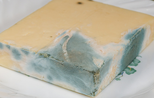 A block of moldy mozzarella cheese. The cheese has a large amount of blue green mold. Focus is on the closest corner. 