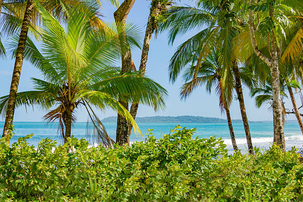 Untouched tropical beach in Bocas del Toro Panama stock photo