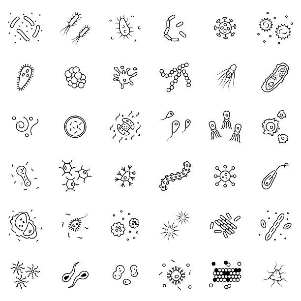 illustrazioni stock, clip art, cartoni animati e icone di tendenza di icona di batteri e germi impostata in stile linea sottile. - regno dei funghi