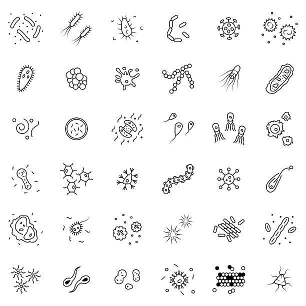 バクテリアと細菌アイコンは細い線のスタイルで設定されています。 - bacterium petri dish microbiology cell点のイラスト素材／クリップアート素材／マンガ素材／アイコン素材
