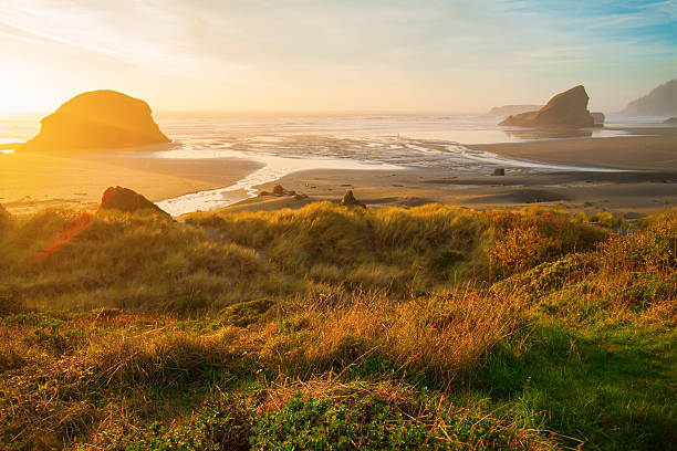 istock Sunrise at Oregon coast, Pacific ocean, Cannon beach 540094940
