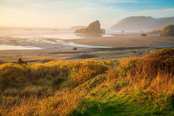 istock Sunrise at Oregon coast, Pacific ocean, Cannon beach 540095158