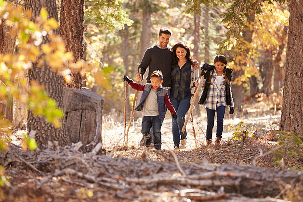 famille heureuse avec deux enfants hispaniques marche dans une forêt - outdoor pursuit photos photos et images de collection