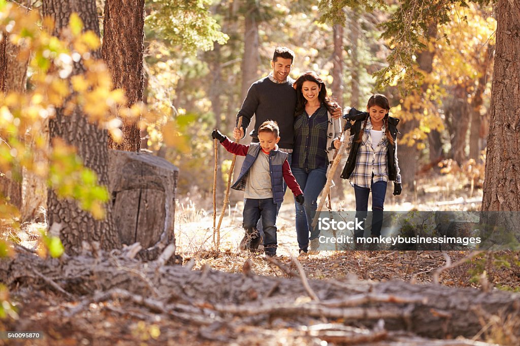 Happy Hispanic family with two children walking in a forest Family Stock Photo