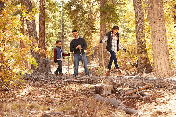 istock Father watching his two children walk over trees in 540095912